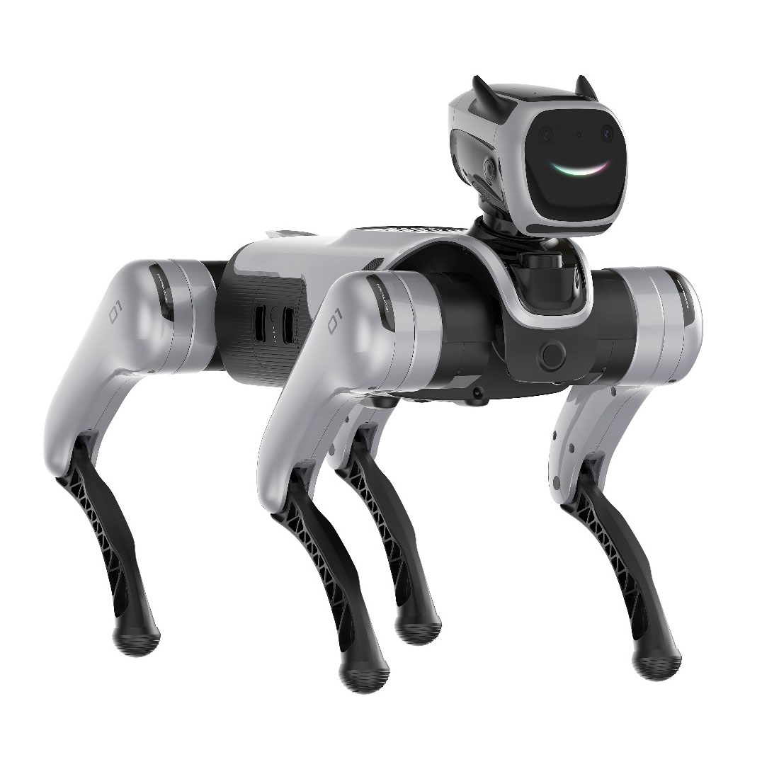 Magiclab MagicDog