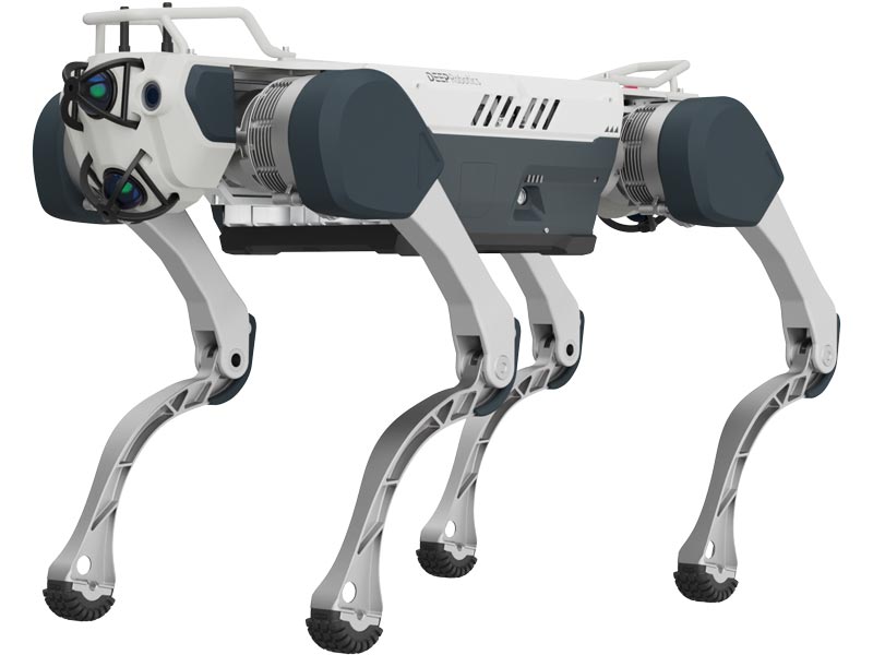 Deep Robotics X30