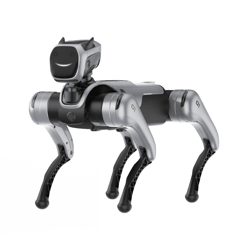 magicdog-pro