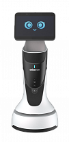Orionstar GreetingBot Mini