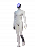 XPeng Iron