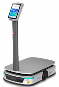 Keenon S300