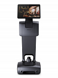 Temi V3