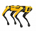 Boston Dynamics Spot